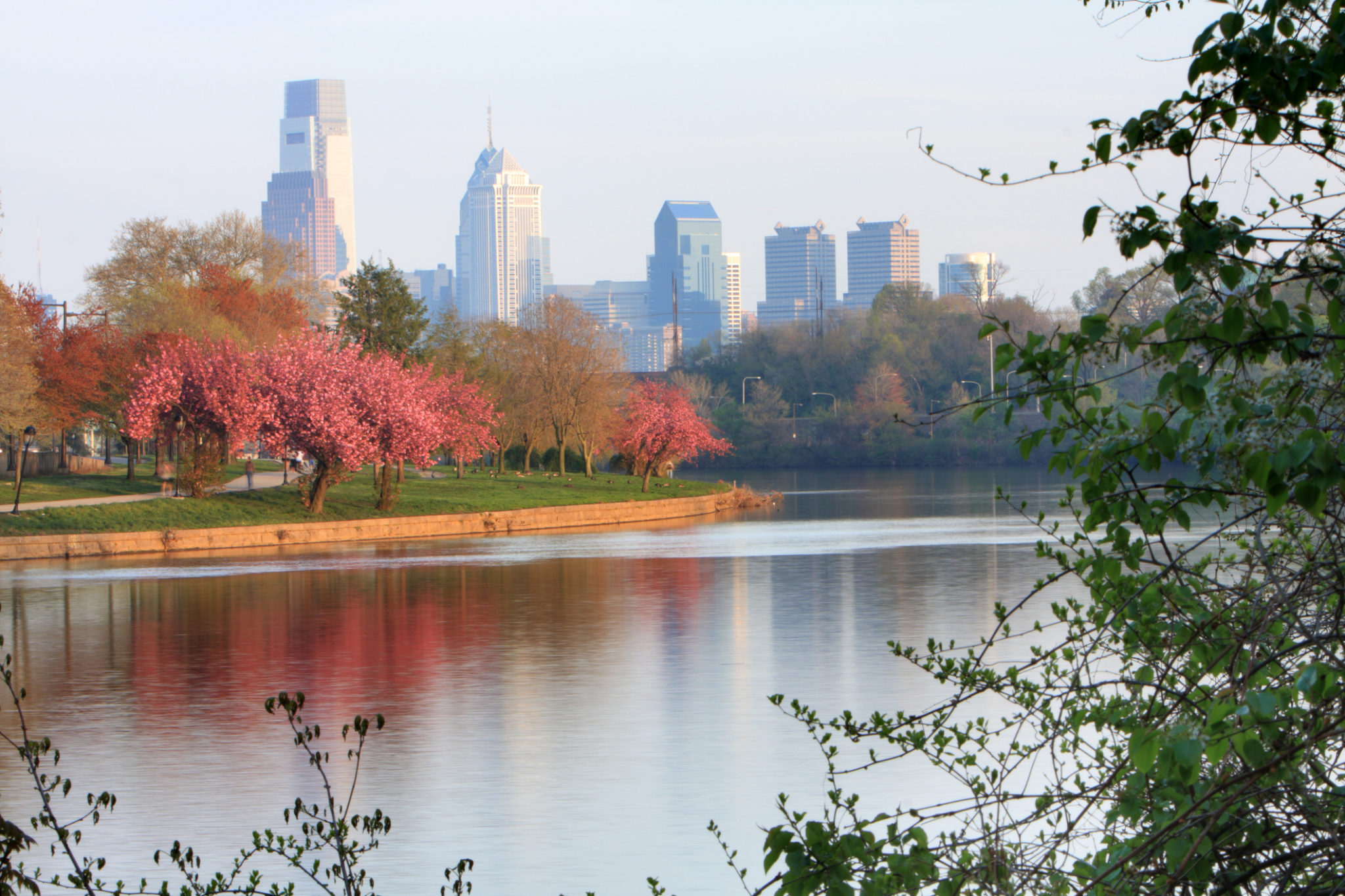 The Subaru Cherry Blossom Festival The Rittenhouse Hotel